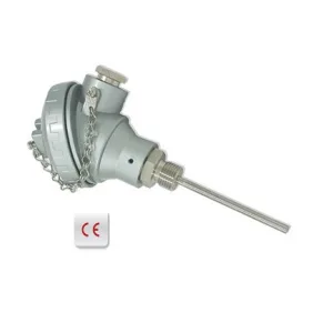 Excel RTD Assembly with Screw/Flange Connection